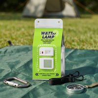Kit de lampe à sel portable pour le camping, LED étanche, pour la pêche nocturne, la randonnée, l'escalade, 140h d'autonomie, sans piles