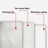 Sac isotherme personnalisé en non-tissé avec doublure en aluminium pour livraison alimentaire, prix direct usine, vente en gros