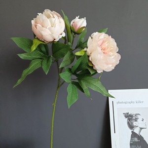 <span class=keywords><strong>Bouquet</strong></span> de fleurs artificielles en soie rose corail de haute qualité ODIS pour la décoration de la maison et des événements, pivoine artificielle - Product Image 4