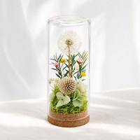 Dôme en verre artisanal avec pissenlit préservé et base en liège – Cadeau d'anniversaire, ornement de bureau