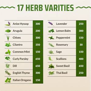 Paquet de variété d'herbes culinaires Paquets de légumes biologiques verts de jardin Herbes pour la plantation jardin intérieur ou extérieur - Product Image 2