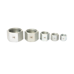 Best Sale Full Series Carbon Steel Zinc Plated Trivalent Chromium Hydraulic O-ring Face Seal ORFS FS0304-C Caps Assembly Insert