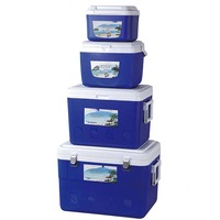 LIHENG Coffrets isothermes carrés personnalisés 5/13/27/45L, lot de 4, pour pique-niques, pêche et barbecue