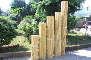 ZY-2005 Factory Wholesale Price Natural <strong>Bamboo</strong> Roll <strong>Screens</strong> Roll Fence <strong>Garden</strong> Rolled up Fencing - Product Image 5