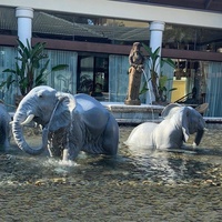 Statue extérieure grandeur nature Pond Life, décoration extérieure, grande sculpture d'éléphant en laiton avec couleur personnalisée et design moderne
