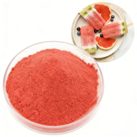 Polvo para Helados de Chocolate Premium, Directo de Fábrica, Mezcla de Azúcar para Hacer Paletas de Hielo, Bolsa de 1 kg, Calidad Estable, para Restaurantes y Hoteles