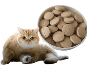 OEM/ODM Haustier Probiotikum-Supplement kaubare Tabletten Verdauungsdarmgesundheitsunterstützung für Hunde Katzen