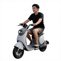 Moto électrique longue portée avec batterie au lithium 48V, étanche IP65, 400W, avec frein à disque, autonomie de 70 km, vitesse de 45 km/h, pour adultes