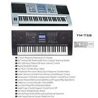 Portable Midi Keyboard Keyboard Instruments for Kids and Adults