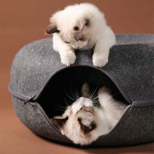 Doe Pet Petits Chiens Chiot Chats Maison <span class=keywords><strong>Panier</strong></span> Feutre Naturel Pet <span class=keywords><strong>Jouet</strong></span> Chat Tunnel Cave Lits Nid Drôle Rond Oeuf Type avec Tapis - Product Image 5