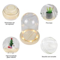 Kubah kaca dengan dasar kayu dan lampu led, kaca kubah dengan bel mawar jar kubah kaca