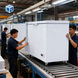 <span class=keywords><strong>Congelatore</strong></span> <span class=keywords><strong>Orizzontale</strong></span> Commerciale all'Ingrosso, <span class=keywords><strong>Congelatore</strong></span> a Pozzetto 220V 300 L, Frigorifero e <span class=keywords><strong>Congelatore</strong></span> da Cucina per Casa ETL CE - Product Image 2