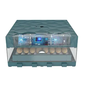 64 Egg Capacity Dual Power Supply Automatic Egg Incubator Egg Hatcher