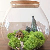 Grand terrarium en verre moderne pour plantes aériennes et succulentes - Vase de table fait main écologique pour la décoration de la maison/du bureau