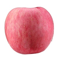 Pommes royales fraîches chinoises, pommes Fuji et Red Star fraîches et autres fruits frais au prix de gros en vrac pour l'exportation