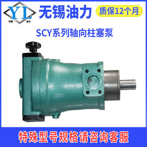 ปั๊มลูกสูบแกนประสิทธิภาพสูง 10SCY16/25/32/40/63 ซีรีส์ ปั๊มเพิ่มแรงดันน้ำมันไฮดรอลิก ปั๊มแรงดันสูง - Product Image 5