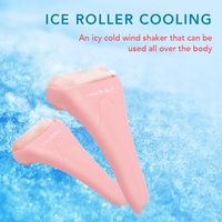 Thérapie de refroidissement de la peau en silicone à usage domestique Derma Ice Roller Tool pour le visage et le corps Nez Tête Soulagement des yeux Soulage les poches Masseur