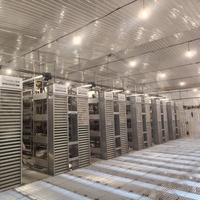 Ampoule LED 48-220V pour l'éclairage des fermes avicoles - Économie d'énergie et faible émission de chaleur pour les cages à poulets et les bâtiments d'élevage
