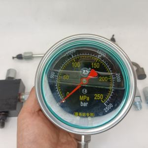 Ortak ray pompa onarım aracı kiti yüksek basınç pompası piston basınç testi göstergesi - Product Image 3