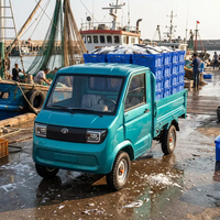 Mini-camion électrique Prime 3000W, vente en gros d'usine, couleur personnalisable, caisse de chargement adaptable, véhicule de livraison professionnel