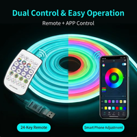 Rubans LED néon RGB en cuivre USB 5V IP67 5M, contrôle par application/télécommande, synchronisation musicale, intensité réglable, mode DIY, décoration pour salle de jeux