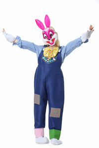 खरगोश के माता-पिता बाल प्रदर्शन वेशभूषा किंडरगार्टन छोटे सफेद खरगोश प्रदर्शन कपड़े कार्टून पशु वेशभूषा - Product Image 6