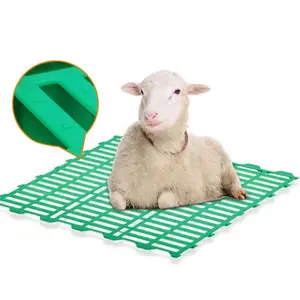 Nuevo Suelo <span class=keywords><strong>de</strong></span> Plástico PP para Ganado Ovino, 60x60cm, Verde, Larga Duración, en Venta - Product Image 1