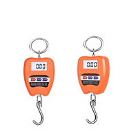 Balance numérique portable Ace Mini 200 kg avec écran LCD, modèle P-200, construction en plastique durable, utilisation facile, conception de boîte avec logo personnalisé, garantie 1 an