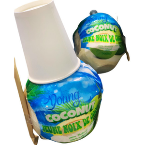 Faible MOQ, échantillons gratuits, noix de coco verte fraîche de haute qualité en provenance du Vietnam, prix de gros de l'agriculture internationale, prix bas - Product Image 5