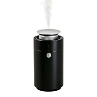 Diffuseur d'arômes pour voiture en métal alimenté par USB, diffuseur d'arômes portable rechargeable pour voiture disponible en plusieurs couleurs