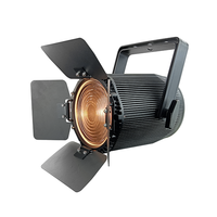 IP65 étanche lumière de scène 3200K blanc chaud 100W COB PAR lumière portable LED DMX 512 fresnel lumière pour fête mariage disco TV
