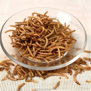 Larve della farina essiccate 100% naturali, gialle, per alimentazione di criceti, tartarughe e pesci, mangime per animali domestici - Product Image 2