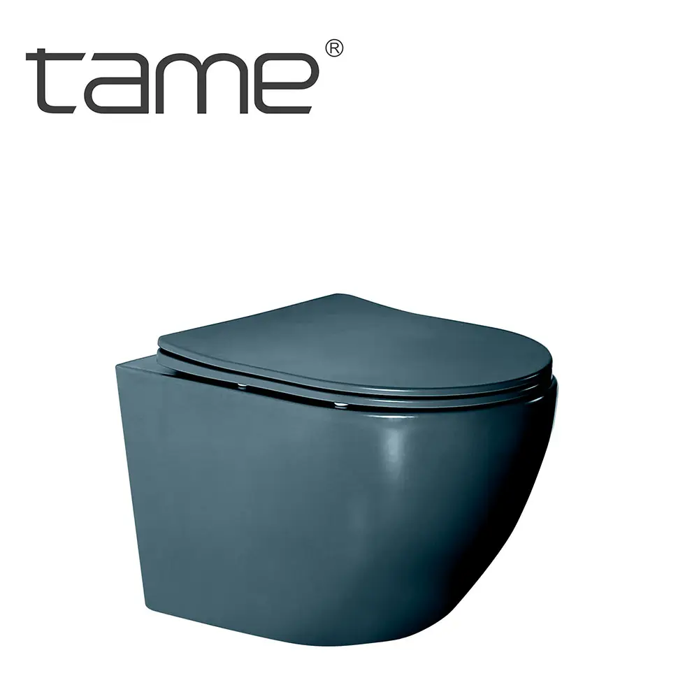 TAME TM3006-MSl Salle de bain en porcelaine de haute qualité WC suspendu bleu foncé mat Toilette murale à double chasse d'eau Toilette suspendue murale sans rebord