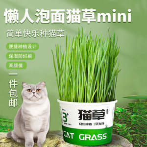 Plante en pot miniature d'herbe pour chat, culture sans terre style nouilles instantanées, pour soulager les boules de poils chez les animaux, réutilisable - Product Image 1