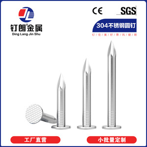 Clavos Redondos de Acero Inoxidable 304 Ding Lang Jin Shu, Punta Afilada, Cuerpo Liso, Clavos de Acabado de Grado Industrial - Product Image 1