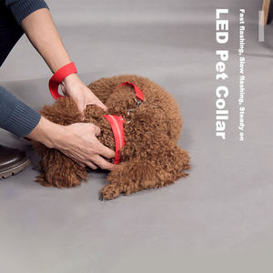 Luz nocturna ajustable mascota perro gato perro luz de seguridad flash collar 2023 recargable LED luz perro mascota collar hecho en <span class=keywords><strong>China</strong></span> - Product Image 2