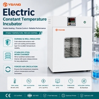 Incubadora de Temperatura Constante con Control Digital de Temperatura, Equipo de Laboratorio con Certificación CE, 110V 220V