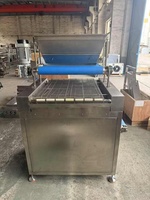 Machine automatique de distribution de noix de 600 mm, machine à saupoudrer de noix concassées pour les produits chocolatés
