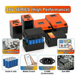 Batteries au lithium-ion Delong, série 48V, 15Ah, 20Ah, 25Ah, 30Ah, 35Ah, 50Ah, 65Ah, 80Ah, pour vélos de ville, LFP4850, directement de l'usine - Product Image 2