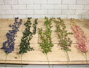 QSLHFH-1157 Vendita Calda Succulente Stringa di Perle Pianta Artificiale <span class=keywords><strong>Piante</strong></span> Pensili - Product Image 2