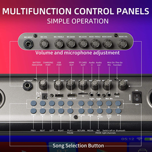 Machine de karaoké professionnelle Gooermi avec affichage des paroles pour adultes, 2 micros sans fil, système de sonorisation portable - Product Image 4
