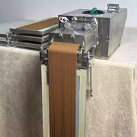Machine automatique de fabrication de bâtonnets d'encens à prix avantageux, en acier inoxydable 304 et avec moteur à fréquence variable, haute production