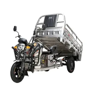 60V 800W 1000W Electric Cargo Tricycle Stainless Steel Electric Tricycle 500KG Load Strong Power 3 Wheel