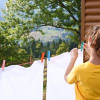 Pinces à linge multifonctionnelles et résistantes au vent, pinces à linge en plastique colorées à ressort, 20 pièces par paquet