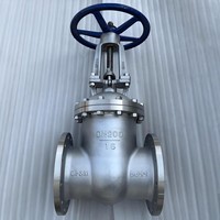 Válvula de Compuerta Industrial de Alto Rendimiento con Extremo Bridado, Vástago Ascendente de Hierro Fundido, Asiento Metálico y Acabado de Grado 316