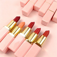 Rouge à lèvres velours nude rose naturel, crème minérale scintillante, tube imperméable 5g, best-seller