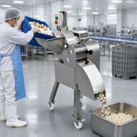 Hoge snelheid snijmachine voor groenten, fruit en vlees; geschikt voor het snijden van aardappel, wortel, mango, bevroren rundvlees en varkensvlees in blokjes.
