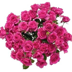 Ramo de Rosas Largas Multicabeza con Base de Burbujas para <span class=keywords><strong>el</strong></span> Día de la Madre, Venta al por Mayor, Compra en Grupo, Suministro de Kunming, Yunnan - Product Image 5