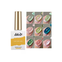 Bellinails Hema Tpo Free Logo personnalisé Beauté des ongles Couleur vegan Semi-permanent Brillant Magnétique Fruit Cat Eye Gel