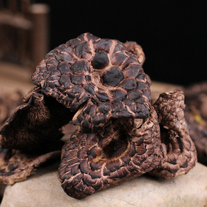 500g Wilder Natürlicher Schuppiger Igel-Pilz Essbarer Getrockneter Zahn-Pilz Schuppiger Igel-Pilz zum Verkauf - Product Image 2